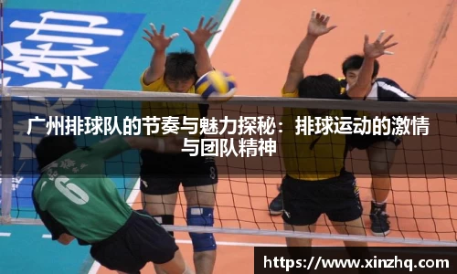 广州排球队的节奏与魅力探秘：排球运动的激情与团队精神